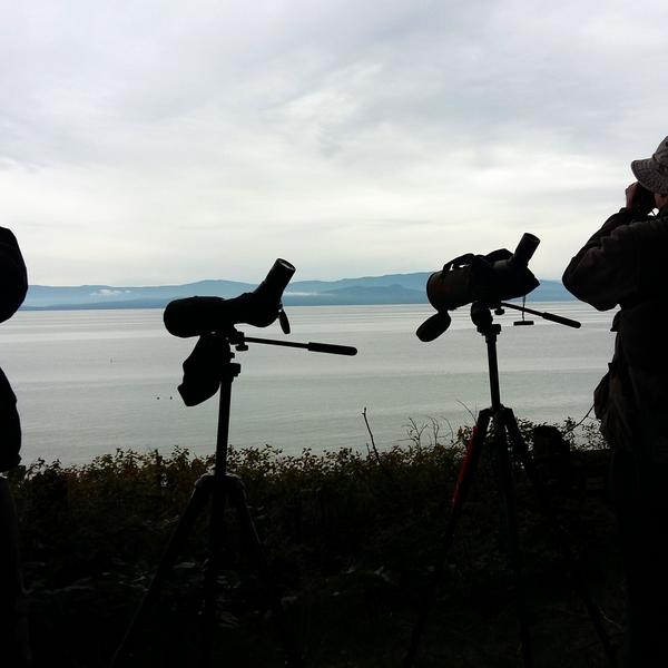 2nd Annual MABR BioBlitz 1