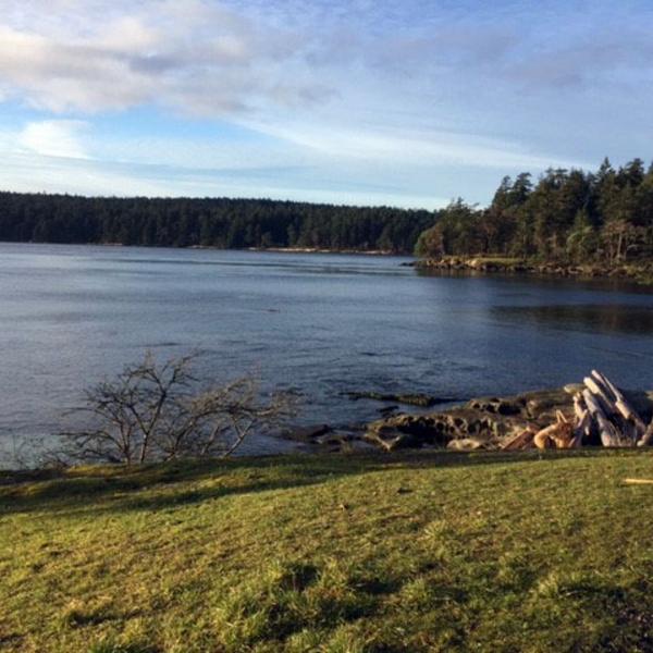 Bull Kelp Collection in the Salish Sea 1