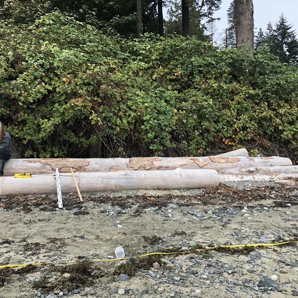 Chloe - Forage Fish Sampling