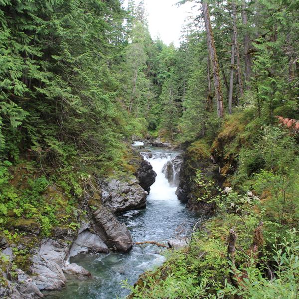 Little_Qualicum_Falls_MABR