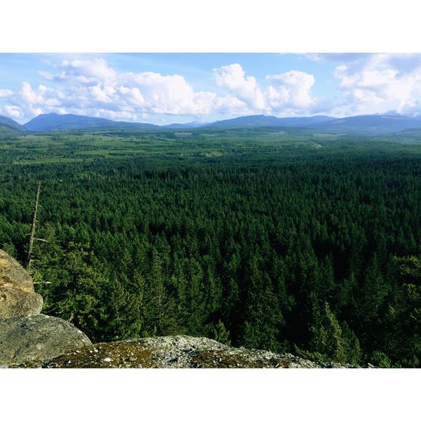 View from Little Mountain 