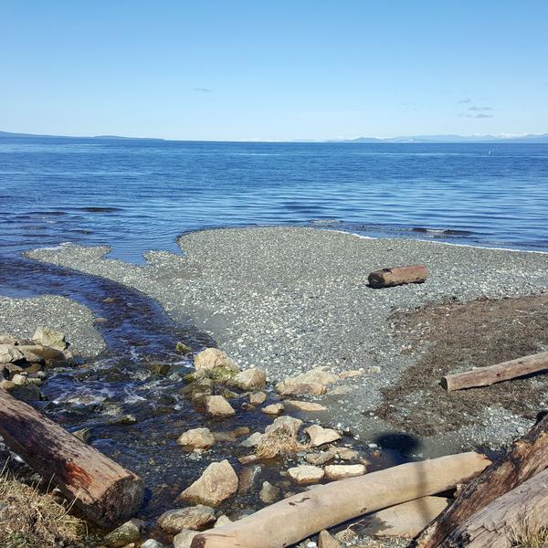 My Transit Journey to Qualicum Beach 1