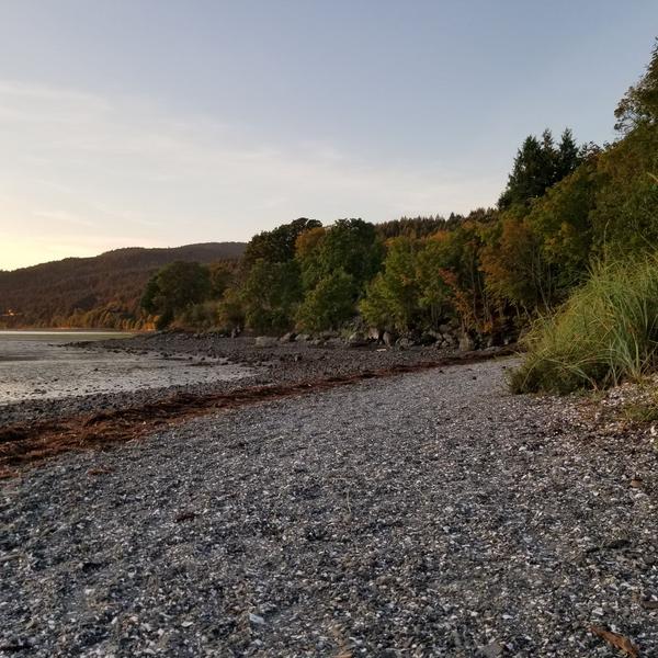 Nanoose Bay Clam Monitoring