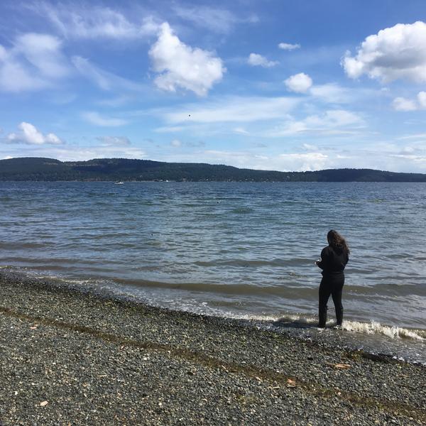 Forage-fish-sampling