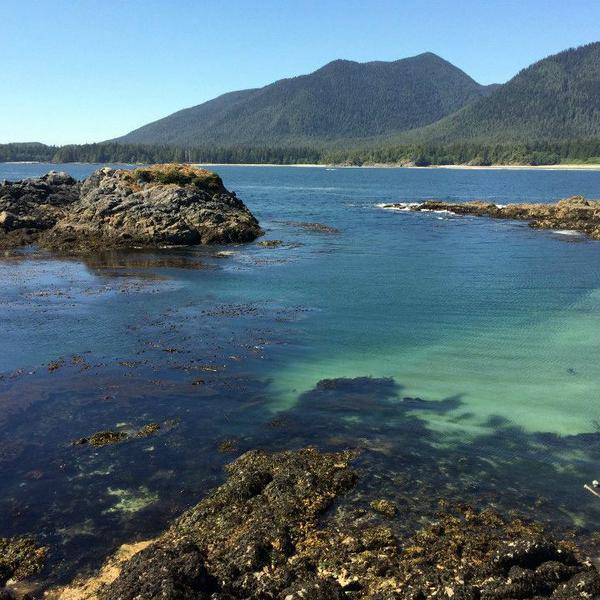 Walking the Wild Side in the Clayoquot Sound Biosphere Reserve 1