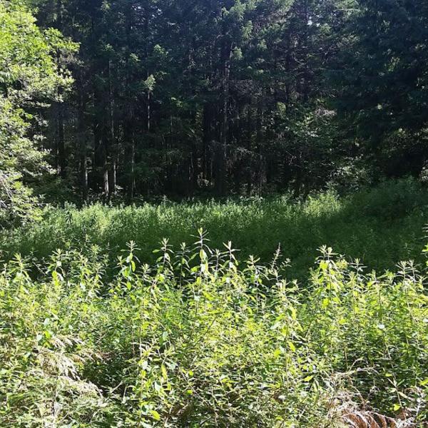 Wetlandkeepers Course 1