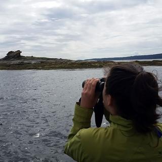 Bull Kelp Sampling 2