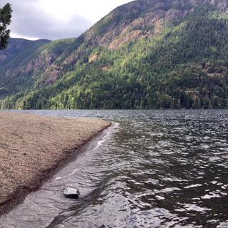 Cameron Lake Monitoring and Mapping 2