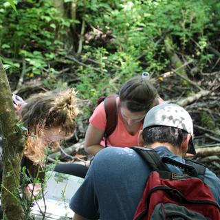 Kidston Short, Larissa Thelin, and Graham Sakaki try to identify a flora species.