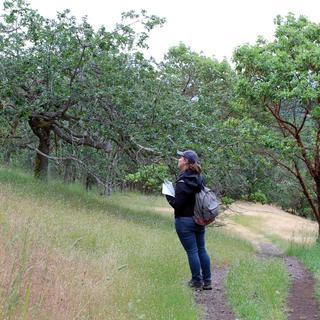 Roxanne examining a GOE.