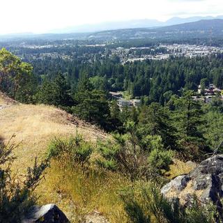 Linley Valley Trails Assessment 3