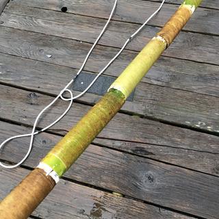 Bull kelp culture likes on spools prior to planting.