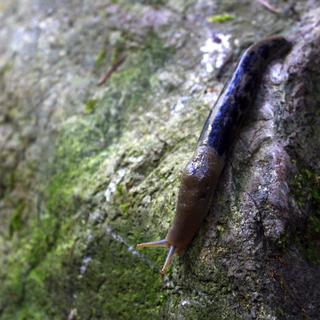 Rathtrevor Beach, Hamilton Marsh, & Little Qualicum Falls 3