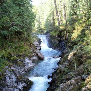 Rathtrevor Beach, Hamilton Marsh, & Little Qualicum Falls 7