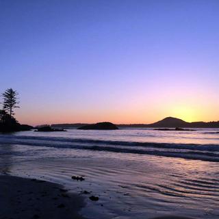 Walking the Wild Side in the Clayoquot Sound Biosphere Reserve 10