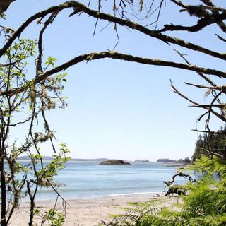Walking the Wild Side in the Clayoquot Sound Biosphere Reserve 6