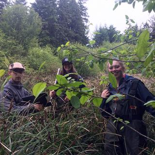 Wetland Practice Field Day 3