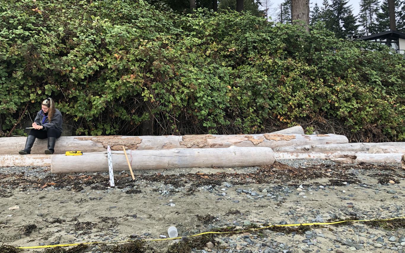 Chloe - Forage Fish Sampling