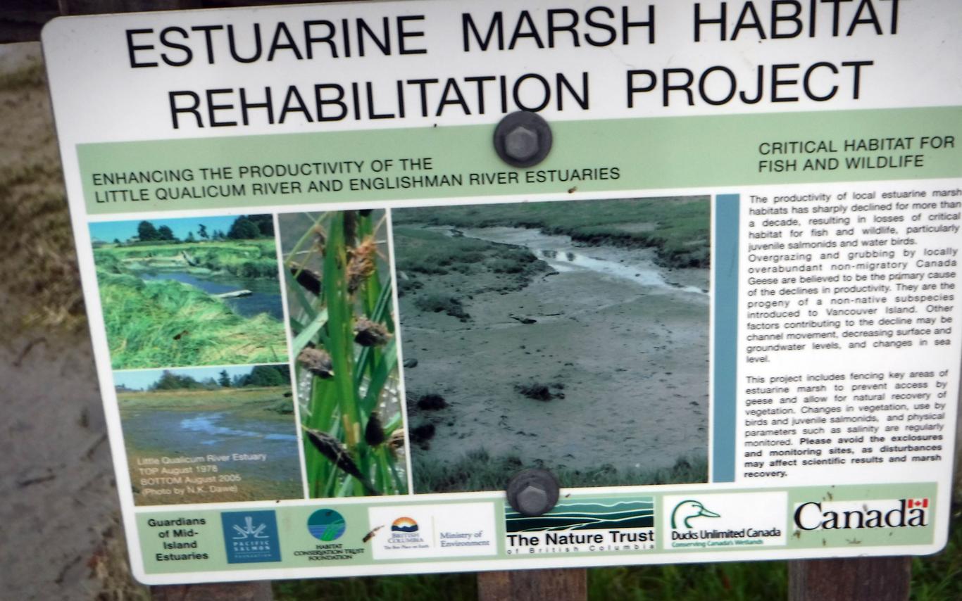 Eelgrass Mapping Practice Field Day 1