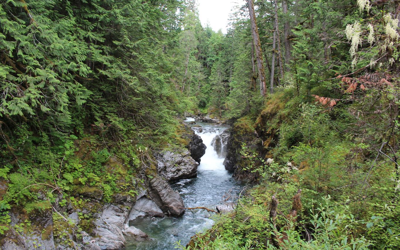 Little_Qualicum_Falls_MABR