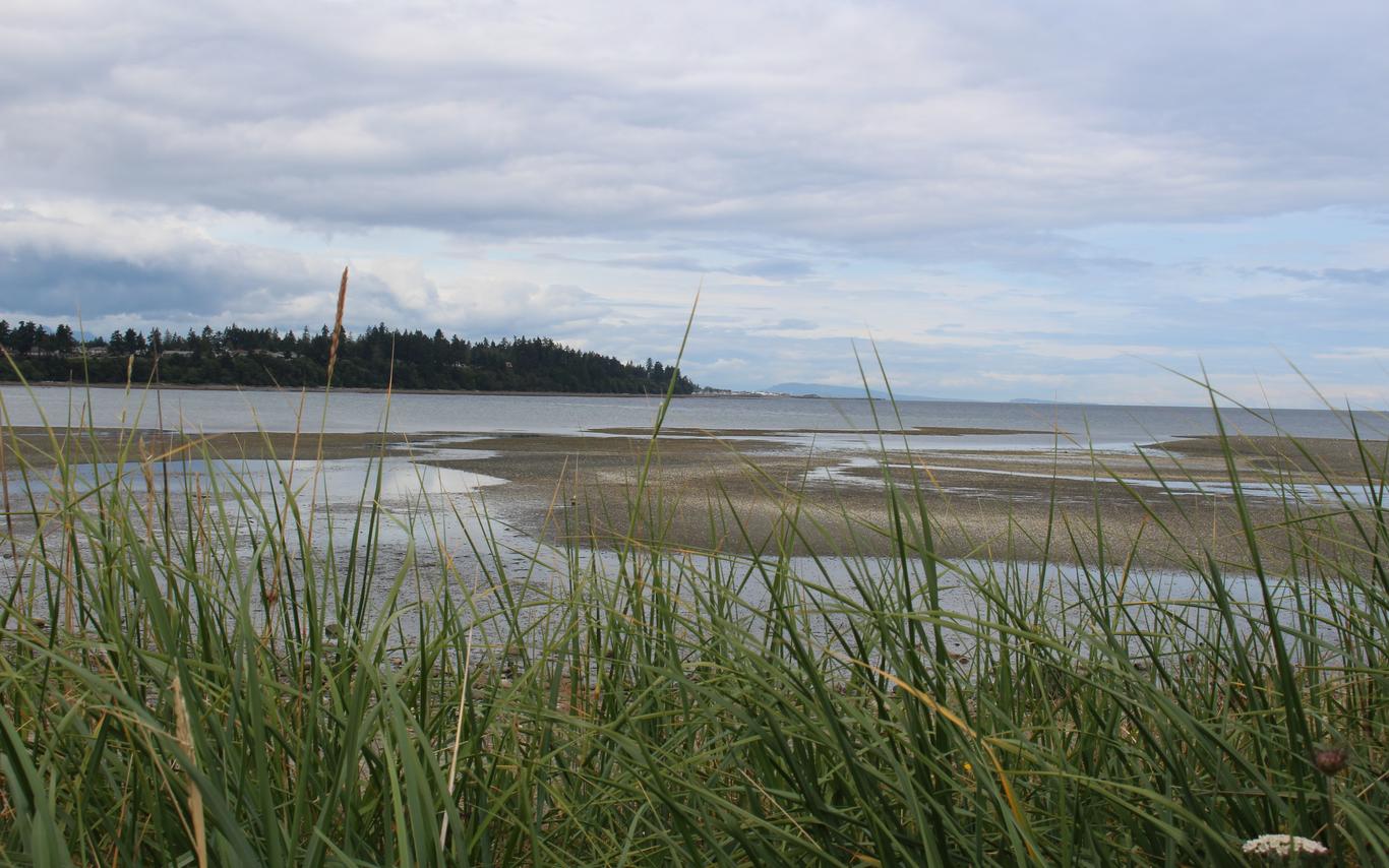 Beach_MABRRIBlogPost