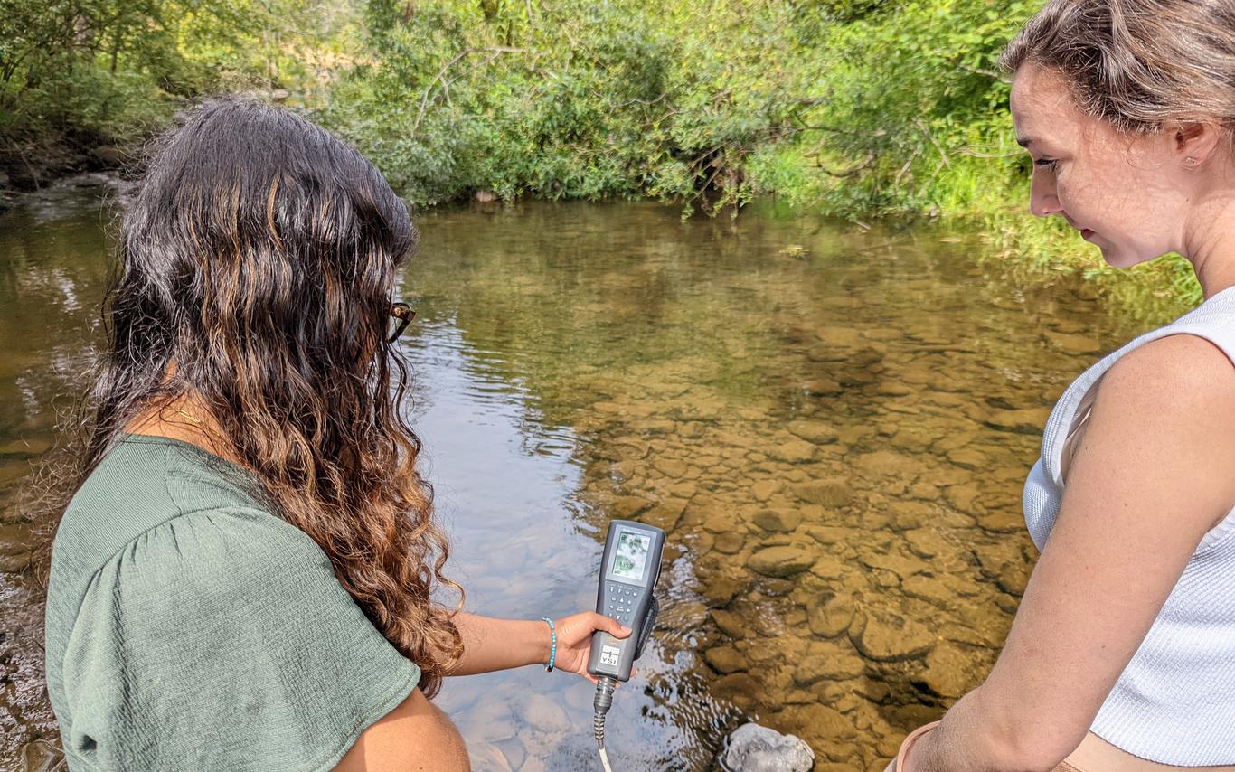 MABRRI Research Assistants checking water quality in stream