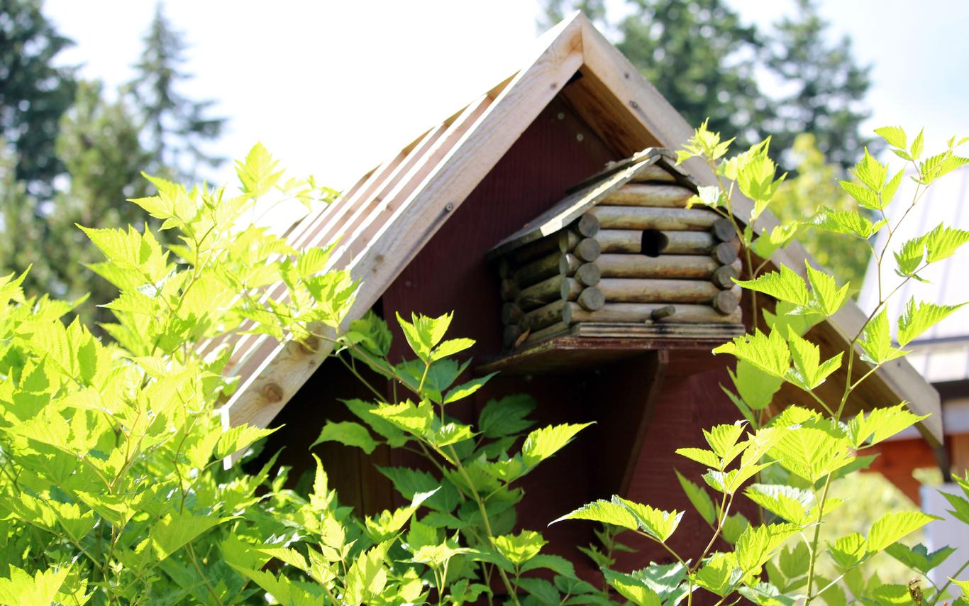 North Island Wildlife Recovery Center 1