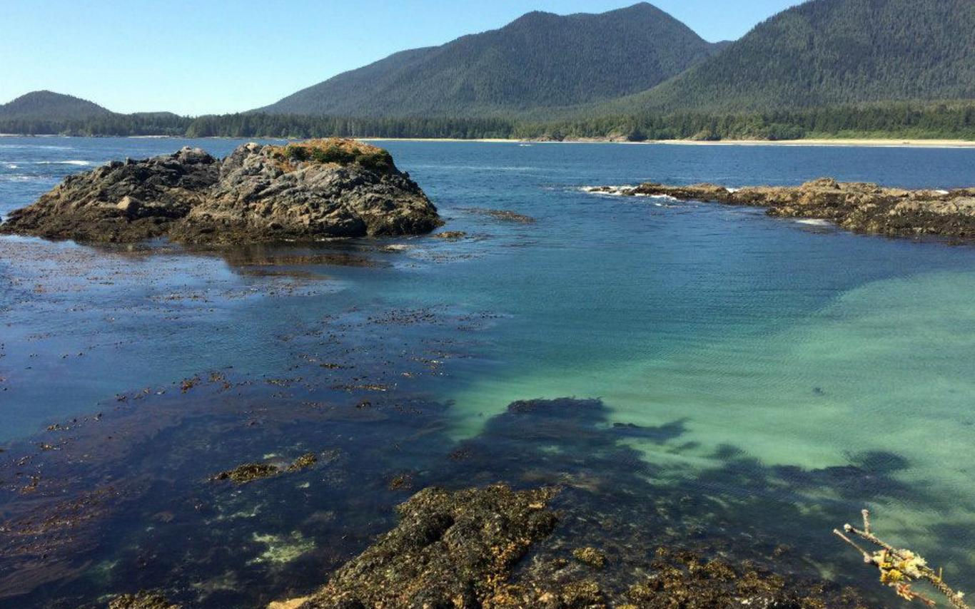 Walking the Wild Side in the Clayoquot Sound Biosphere Reserve 1