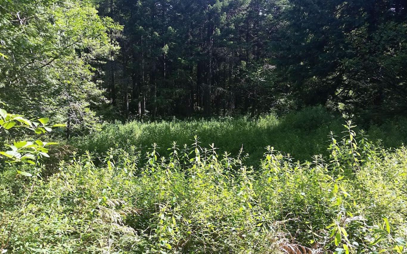 Wetlandkeepers Course 1